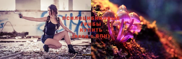 стаф Алексеевка