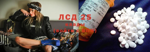 apvp Алексин