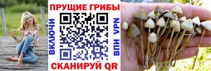 Псилоцибиновые грибы мухоморы  MEGA ссылка  Петровск-Забайкальский 
