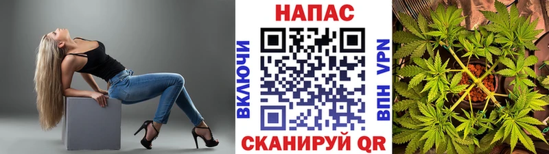 сколько стоит  Петровск-Забайкальский  МАРИХУАНА семена 